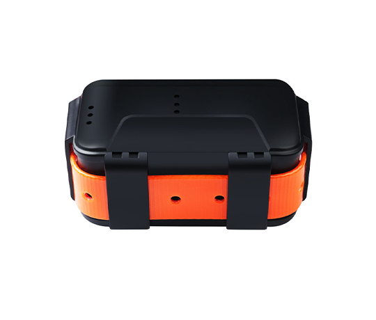 NY牛羊定位项圈